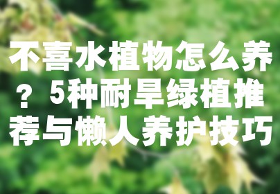 不喜水植物怎么养？5种耐旱绿植推荐与懒人养护技巧