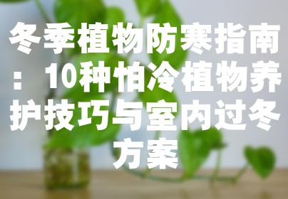 冬季植物防寒指南：10种怕冷植物养护技巧与室内过冬方案