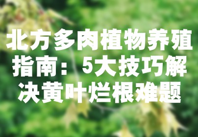 北方多肉植物养殖指南：5大技巧解决黄叶烂根难题