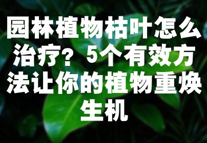 园林植物枯叶怎么治疗？5个有效方法让你的植物重焕生机