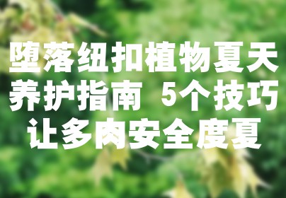 堕落纽扣植物夏天养护指南 5个技巧让多肉安全度夏