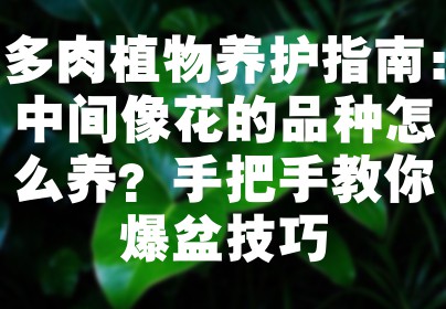 多肉植物养护指南：中间像花的品种怎么养？手把手教你爆盆技巧