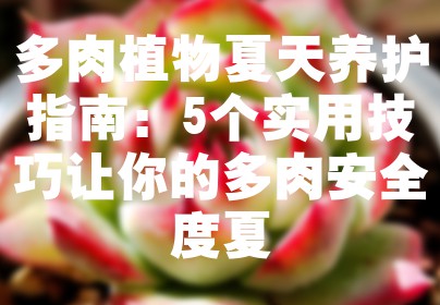 多肉植物夏天养护指南：5个实用技巧让你的多肉安全度夏