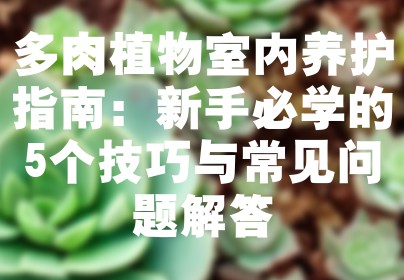 多肉植物室内养护指南：新手必学的5个技巧与常见问题解答
