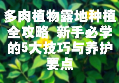 多肉植物露地种植全攻略 新手必学的5大技巧与养护要点