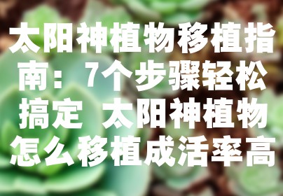 太阳神植物移植指南：7个步骤轻松搞定 太阳神植物怎么移植成活率高