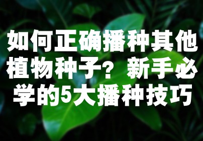 如何正确播种其他植物种子？新手必学的5大播种技巧