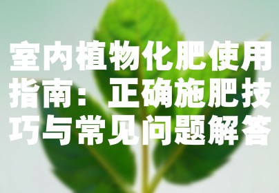室内植物化肥使用指南：正确施肥技巧与常见问题解答