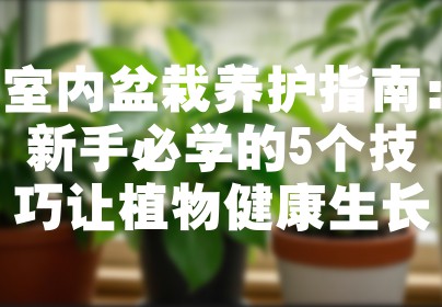 室内盆栽养护指南：新手必学的5个技巧让植物健康生长