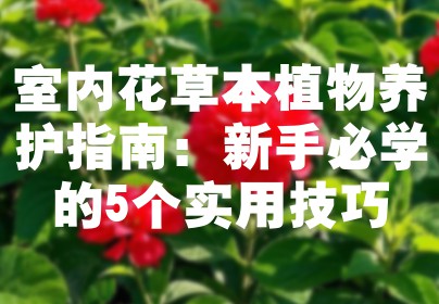室内花草本植物养护指南：新手必学的5个实用技巧