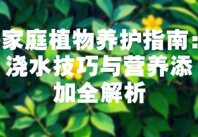 家庭植物养护指南：浇水技巧与营养添加全解析