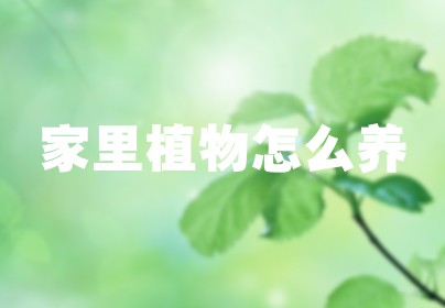 家里植物怎么养