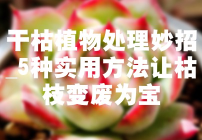 干枯植物处理妙招_5种实用方法让枯枝变废为宝
