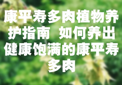 康平寿多肉植物养护指南 如何养出健康饱满的康平寿多肉
