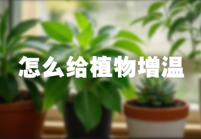 怎么给植物增温