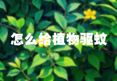 怎么给植物驱蚊