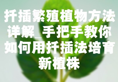扦插繁殖植物方法详解_手把手教你如何用扦插法培育新植株