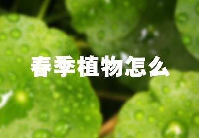 春季植物怎么