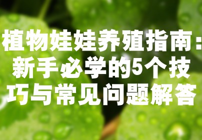 植物娃娃养殖指南：新手必学的5个技巧与常见问题解答