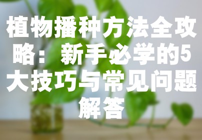植物播种方法全攻略：新手必学的5大技巧与常见问题解答