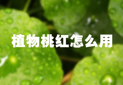 植物桃红怎么用