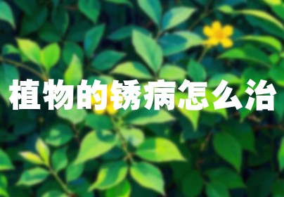 植物的锈病怎么治