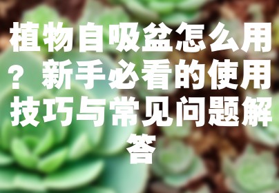 植物自吸盆怎么用？新手必看的使用技巧与常见问题解答
