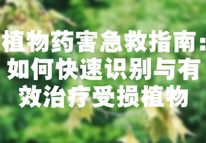 植物药害急救指南：如何快速识别与有效治疗受损植物