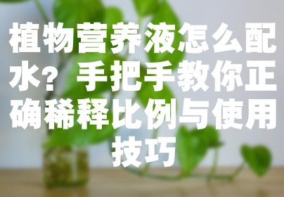 植物营养液怎么配水？手把手教你正确稀释比例与使用技巧