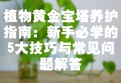 植物黄金宝塔养护指南：新手必学的5大技巧与常见问题解答