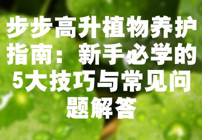 步步高升植物养护指南：新手必学的5大技巧与常见问题解答