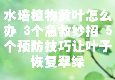水培植物黄叶怎么办 3个急救妙招+5个预防技巧让叶子恢复翠绿