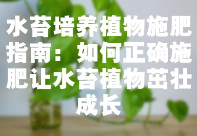 水苔培养植物施肥指南：如何正确施肥让水苔植物茁壮成长