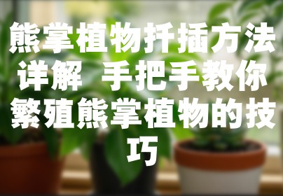 熊掌植物扦插方法详解 手把手教你繁殖熊掌植物的技巧