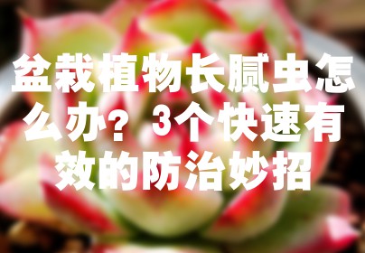 盆栽植物长腻虫怎么办？3个快速有效的防治妙招