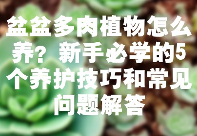 盆盆多肉植物怎么养？新手必学的5个养护技巧和常见问题解答