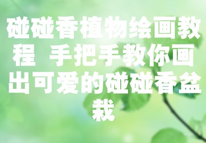 碰碰香植物绘画教程 手把手教你画出可爱的碰碰香盆栽