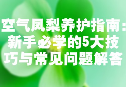 空气凤梨养护指南：新手必学的5大技巧与常见问题解答
