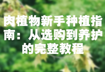 肉植物新手种植指南：从选购到养护的完整教程