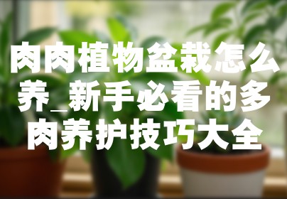 肉肉植物盆栽怎么养_新手必看的多肉养护技巧大全
