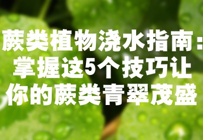 蕨类植物浇水指南：掌握这5个技巧让你的蕨类青翠茂盛
