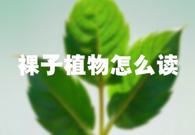 裸子植物怎么读