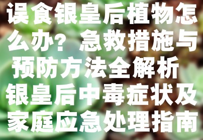 误食银皇后植物怎么办？急救措施与预防方法全解析 银皇后中毒症状及家庭应急处理指南