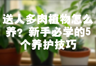 送人多肉植物怎么养？新手必学的5个养护技巧