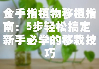 金手指植物移植指南：5步轻松搞定 新手必学的移栽技巧