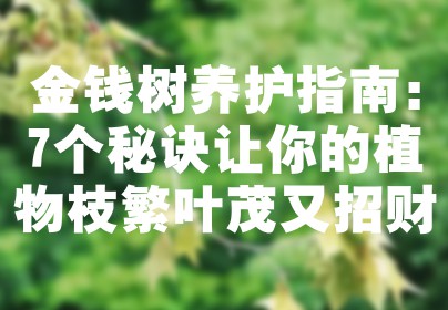 金钱树养护指南：7个秘诀让你的植物枝繁叶茂又招财