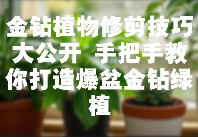 金钻植物修剪技巧大公开 手把手教你打造爆盆金钻绿植