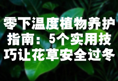 零下温度植物养护指南：5个实用技巧让花草安全过冬