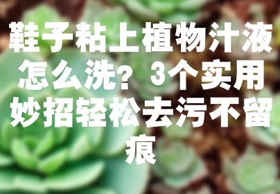 鞋子粘上植物汁液怎么洗？3个实用妙招轻松去污不留痕
