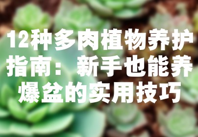 12种多肉植物养护指南：新手也能养爆盆的实用技巧